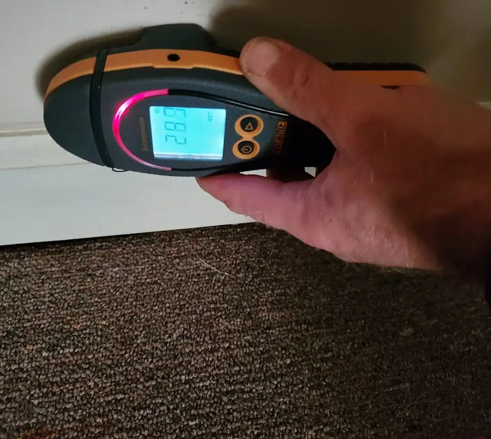 Moisture detection at baseboard during Mold Inspection & Testing in Harrodsburg